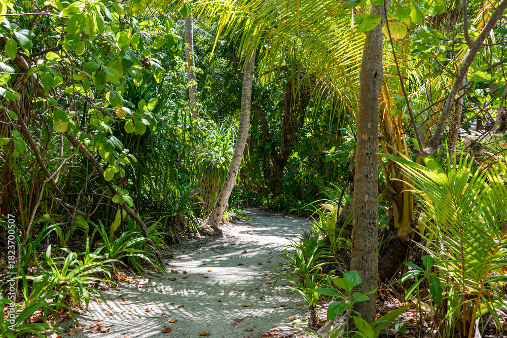 Obraz premium Tropical Beach Paradise in Mathiveri, Maldives