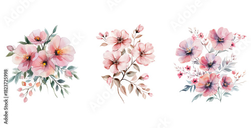 Watercolor Bouquets of Pink Flowers set Isolated on Transparent Background. Pink Floral Watercolor Bouquet PNG Clipart.