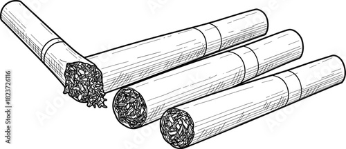 Hand drawn illustration of four cigarettes one broken open showing tobacco filling