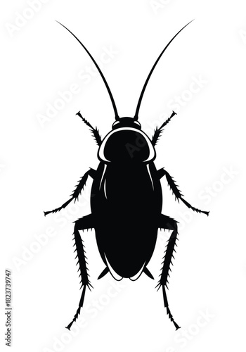Black silhouette of a cockroach insect