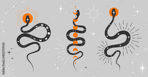 Mystical celestial snakes set. Boho snakes with moon, stars and sun. Serpents and magic witchy symbol. Collection of spiritual occultism symbols, esoteric objects. Design for tattoo, print. Vector