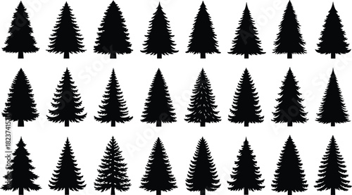 Large conifer tree silhouette vector set, featuring detailed pine and spruce shapes, for forest, winter, and Christmas design elements.