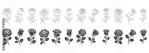 Delicate black silhouette of blooming roses and floral stems against a white background silhouette