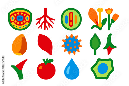Plant Anatomy Icons. Flat vector icons of plant anatomy: leaf cross-section, root system, stem vascular bundle, flower parts, seed