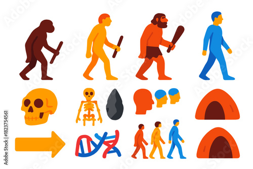 Human Evolution Icons. Flat vector icons of human evolution: Australopithecus, Homo erectus, Neanderthal, modern human, fossil
