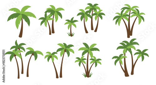 Tropical palm tree collection with various leaf and trunk designs