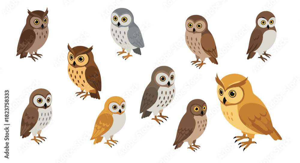 Fototapeta premium Assorted cartoon owls collection with diverse designs and colors on white background