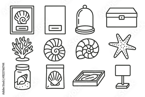 Preserved Specimen Icons. Line style icons of preserved specimens: labeled shell, specimen card, glass dome, box; dried coral,