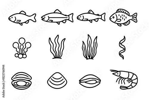 Aquaculture Icons Collection. Line style icons of Aquaculture: Fish, Salmon, Trout, Tilapia; Algae, Seaweed, Kelp, Spirulina;