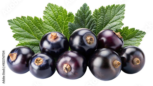 Ripe blackcurrant berries and vibrant green leaves composition
