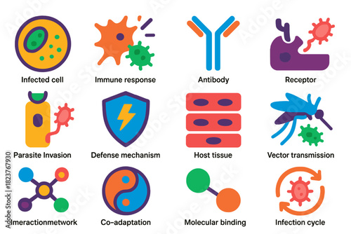 Host-Parasite Interaction Icons. Flat vector icons of host-parasite interactions: infected cell, immune response, antibody,