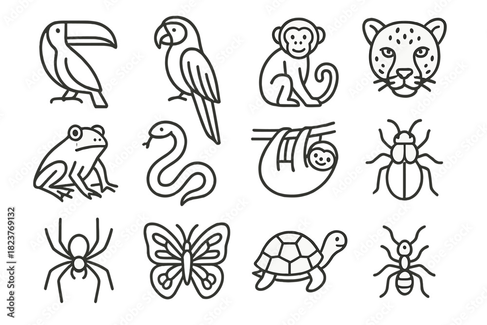 Naklejka premium Rainforest Wildlife Icons. Line style icons of Rainforest Wildlife: Toucan, Macaw, Monkey, Jaguar; Frog, Snake, Sloth, Insect;
