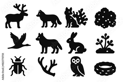 Tundra Life Icons. Solid style icons of Tundra Life: Reindeer, Arctic Fox, Lichen, Moss, Migrating Bird, Wolf, Hare, Small Shrub,