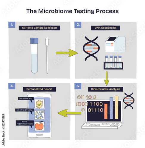 Microbiome testing process illustrated as a simple workflow from collection to insights, sample tube, DNA helix, and laptop highlight key steps and outcomes. Doodle style diagram