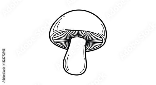 Detailed black and white illustration of a mushroom with visible gills and a rounded cap, showcasing a natural botanical design element.