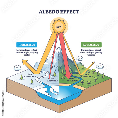 Albedo effect contrasts reflection vs absorption as sun rays hit snow, water, and forest, showing cool high-albedo ice and warm low-albedo land with arrows indicating energy flow. Outline diagram