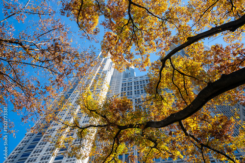 Tokyo Metropolitan Government Building with Autumn Foliage