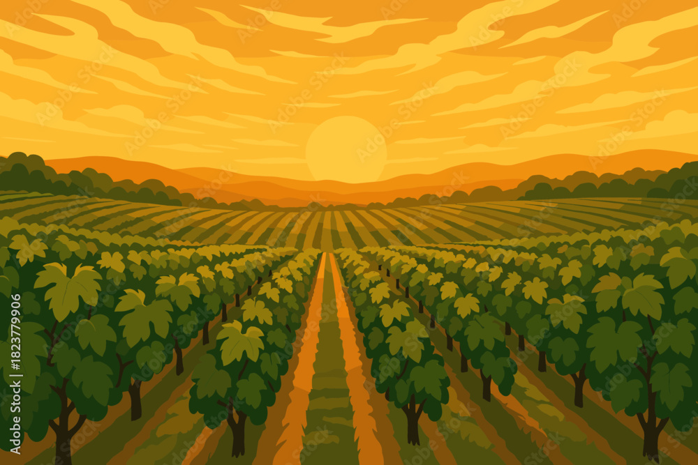 Obraz premium Golden Vineyard Sunset. Expansive vineyard under a vibrant golden sunset, with rows of lush grapevines vector illustration