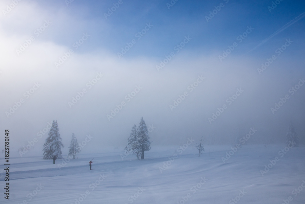 Obraz premium pistes de ski nordique ou ski de fond enneigées et dans la brume sur le plateau de Chamrousse en Isère dans les alpes en france en hiver