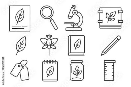 Botanical Study Icons. Line style icons of Botanical Study: Herbarium Sheet, Magnifying Glass, Microscope, Plant Press; Leaf