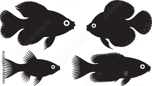Black Gourami fish vector illustration on white background simple design