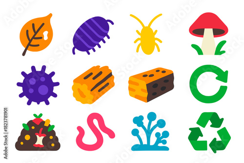 Decomposition Cycle Icons. Flat vector icons of Decomposition Cycle: decaying leaf, isopod cleaner, springtail, fungi sprout, soil