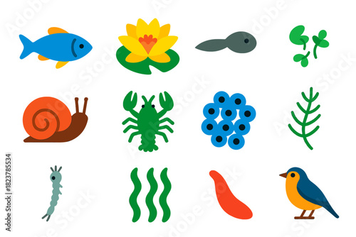 Freshwater Pond Icons. Flat vector icons of Freshwater Pond Ecology: fish, water lily, tadpole, duckweed, snail, crayfish, frog
