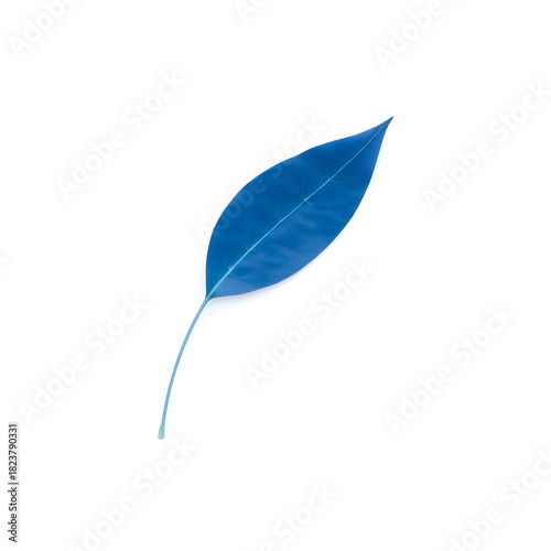 A solitary blue leaf with delicate veins and a gentle curved shape is placed on a pristine white background