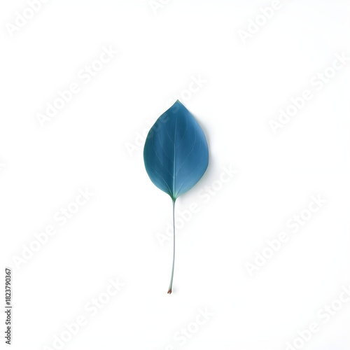 A solitary blue leaf with delicate veins and a gentle curved shape is placed on a pristine white background