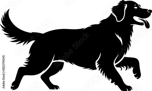Silhouette of a happy golden retriever dog running in profile