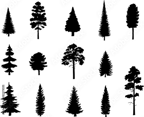Christmas tree black silhouette drawing outline set vector illustration. Set evergreen coniferous trees