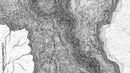 Black and white abstract topographic map texture with swirling lines and riverbeds background