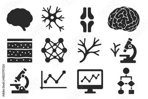 Brain Modeling Icons. Solid style icons of brain modeling: brain outline, neuron cluster, synapse, 3D brain model, cortex layers,