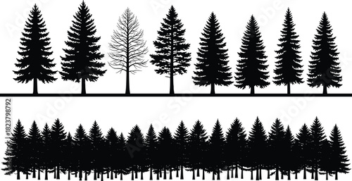 Set of detailed pine tree silhouettes including individual trees and dense forest line, nature woodland illustration for landscape, outdoor, forestry and design projects