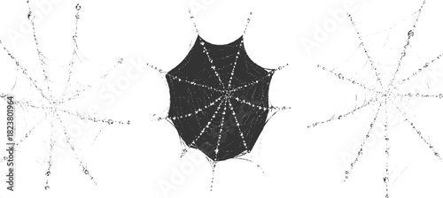 Three detailed black and white spiderwebs with dew drops and a central dark web nature insect