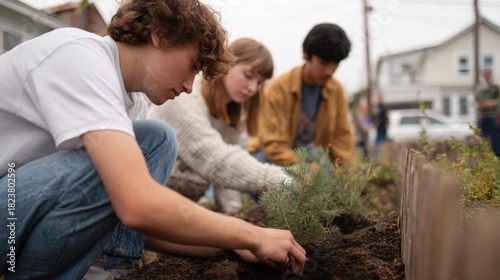 Fototapeta Naklejka Na Ścianę i Meble -  Three young people working in a garden. they are kneeling on the ground and planting a small tree in the soil.