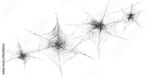 Black and white abstract spider web pattern with star shapes spiderweb insect