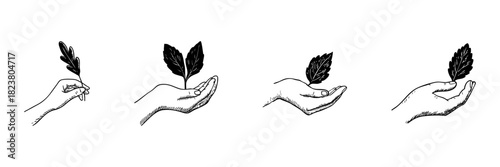 Hand Holding Leaves Doodle Sketch Set. Nature Conservation, Growth, And Environmental Care In Hand Drawn Style Collection. Eco-Friendly And Sustainability. Isolated Vector Illustration