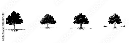 Four Tree Silhouettes Doodle Sketch Set. Nature And Environmental Conservation In Hand Drawn Style Collection. Botanical Illustration Of Trees With Roots. Isolated Vector Illustration