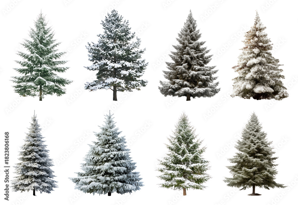 Obraz premium PNG Snow-covered evergreen trees collection, element set on transparent background