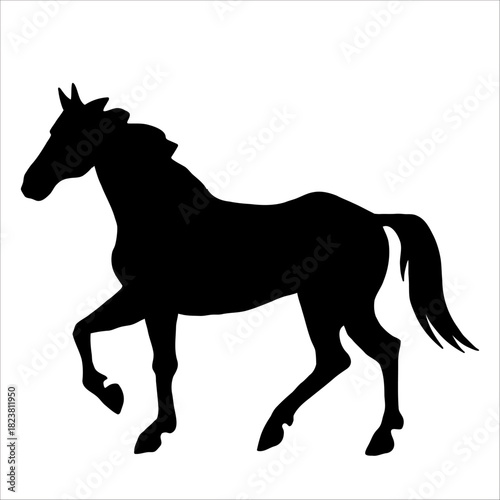 Vector silhouette of horse isolate on white backround.