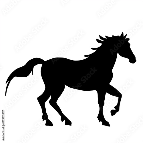 Vector silhouette of horse isolate on white backround.