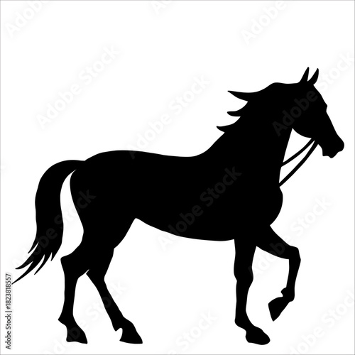 Vector silhouette of horse isolate on white backround.