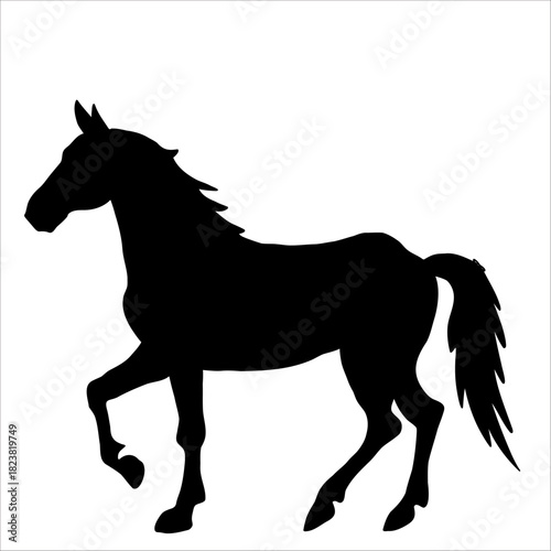 Vector silhouette of horse isolate on white backround.