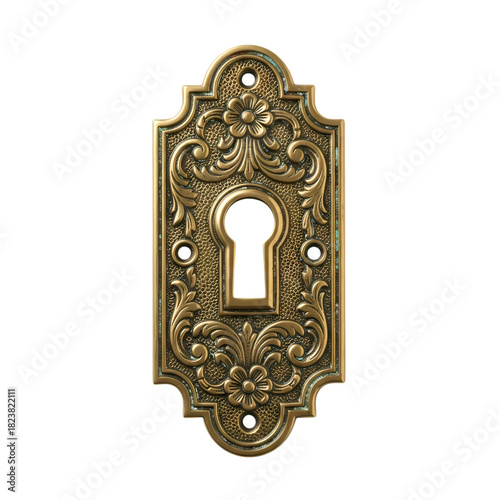Elegant antique brass escutcheon with floral details, vintage home decor