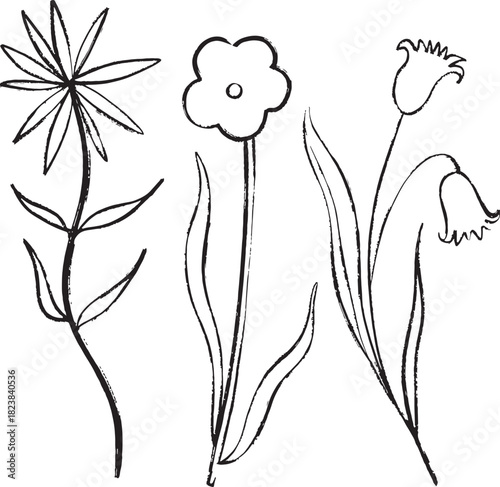 Set of hand drawn, floral doodles. Flower clipart,  original floral elements.