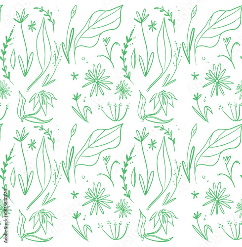 Hand drawn plant and flower doodles, floral graphic elements 