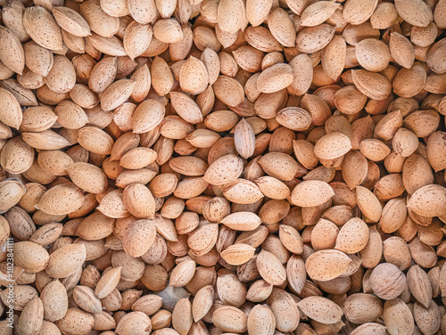 Top view of a large quantity of almonds freshly picked from the almond tree (Prunus dulcis) still wrapped in their light brown outer shell