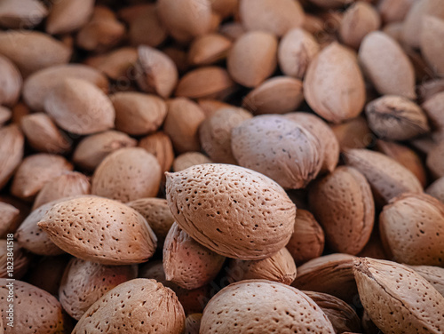 A pile of almonds freshly picked from the almond tree (Prunus dulcis) and one in macro view still wrapped in its light brown outer shell
