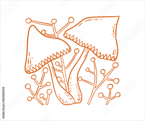Simple line illustration a cute woodland mushroom with plant. retro sketch elements with a clean white background and a hint of mossy forest atmosphere for a calm natural look.